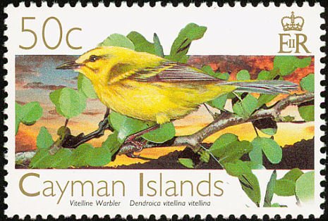Vitelline Warbler (Setophaga vitellina)