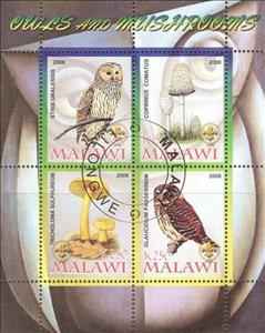 Souvenir Sheet, Owls & Mushrooms - I., Cinderellas,  , Birds, Mushrooms, Owls, Plants (Flora)