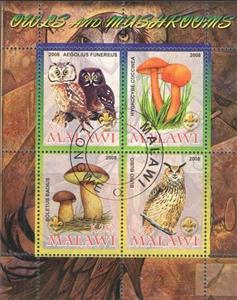 Souvenir Sheet, Owls & Mushrooms - II., Cinderellas,  , Birds, Mushrooms, Owls, Plants (Flora)