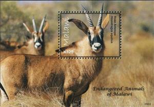 Souvenir Sheet, Endangered wildlife - Antelope, Cinderellas,  , Mammals, Animals (Fauna)