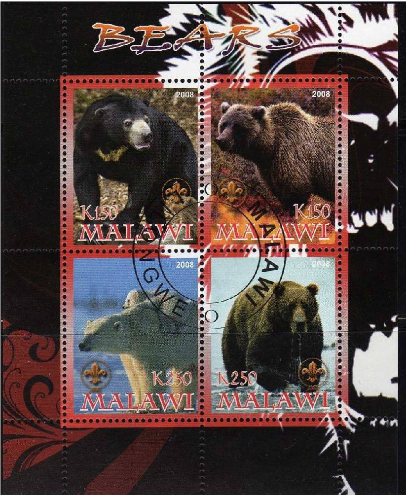 Bears