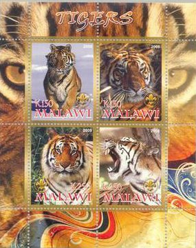 Souvenir Sheet, Tigers, Cinderellas,  , Mammals, Tigers, Animals (Fauna)