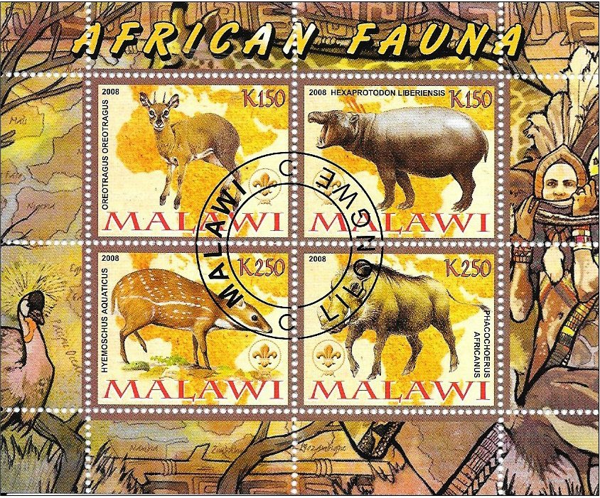 African Fauna