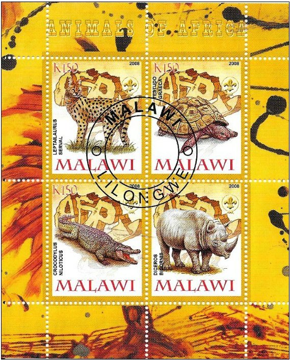 Animals of Africa - I.