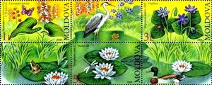 Endangered Plant Species in Moldova