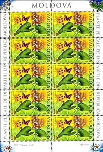 Mini Sheet, May Lily (Maianthemum Bifolium), Moldova,  , Flowers, Butterflies