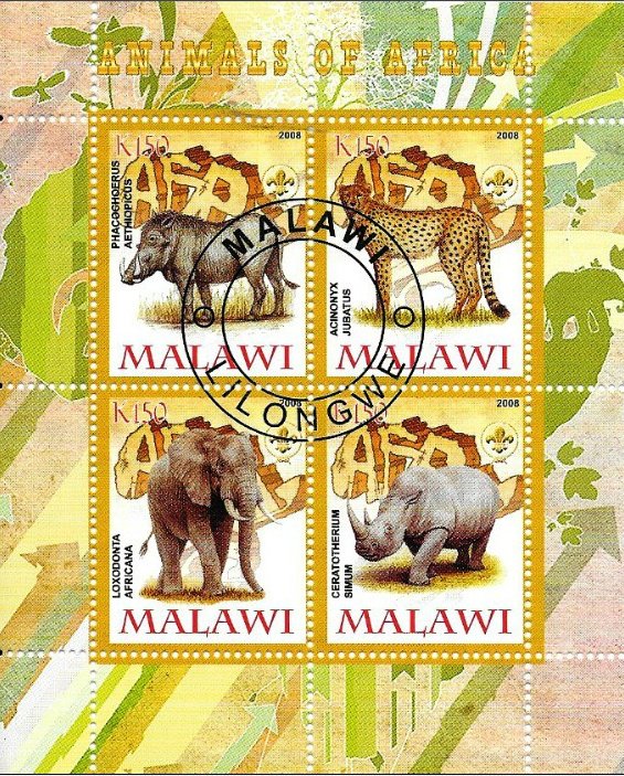 Animals of Africa - II.
