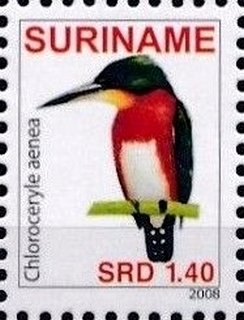 Stamp, American Pygmy-kingfisher (Chloroceryle aenea), Suriname,  , Birds