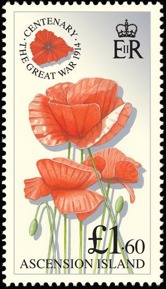 Scarlet Corn Poppy