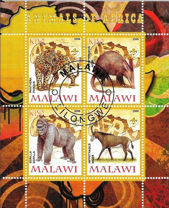 Animals of Africa - III.