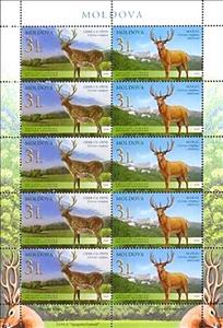 Mini Sheet, Sika Deer (Cervus nippon), Siberian Wapiti (Cervus elaphus s, Moldova,  , Joint Issues, Deer