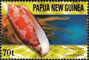 Stamp, Princely Cone (Conus auratus), Papua New Guinea,  , Shells