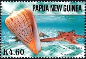 Stamp, Surat Cone (Conus suratensis), Papua New Guinea,  , Shells