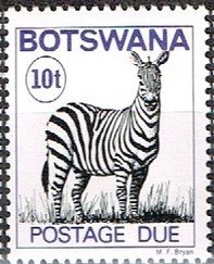 Zebra