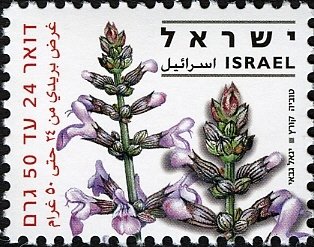 Three-lobed Sage