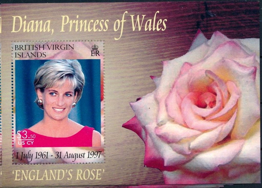 Princess Diana Red Dress S/S