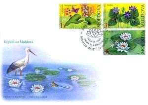 Bird in a Lily Pond