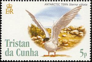 Stamp, Antarctic Tern (Sterna vittata), Tristan da Cunha,  , Birds, Animals (Fauna)