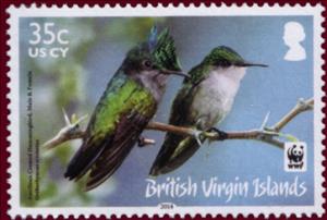 Stamp, Antillean Crested Hummingbird (Orthorhyncus cristatus), British Virgin Islands,  , Birds, WWF, Hummingbirds