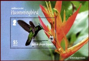 Souvenir Sheet, Antillean Crested Hummingbird (Orthorhyncus cristatus), British Virgin Islands,  , Birds, Hummingbirds
