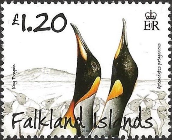King Penguin (Aptenodytes patagonicus)