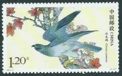 Stamp, Hen Harrier (Circus cyaneus), China, People's Republic,  