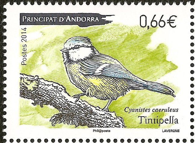 Eurasian Blue Tit (Parus caeruleus)