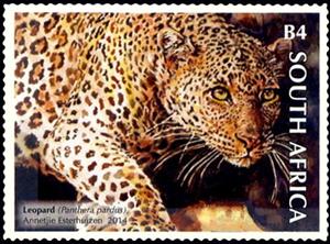 Stamp, Leopard (Panthera pardus), South Africa,  , Mammals, Leopards, Animals (Fauna)