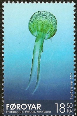 Mauve Stinger (Pelagia noctiluca)