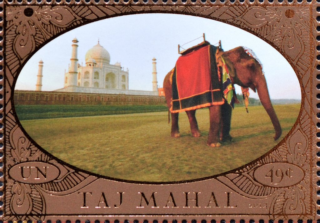 Taj Mahal, Asian Elephant (Elephas maximus)