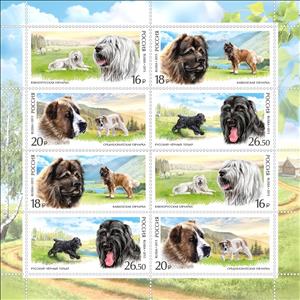 Mini Sheet, Dog Breeds - MiNo. 2171-74, Russia,  , Mammals, Dogs, Animals (Fauna)
