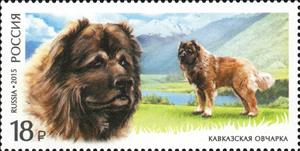 Stamp, Caucasian Shepherd (Canis lupus familiaris), Russia,  , Mammals, Dogs, Animals (Fauna)