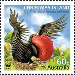 Stamp, Christmas Frigatebird (Fregata andrewsi), Christmas Island,  