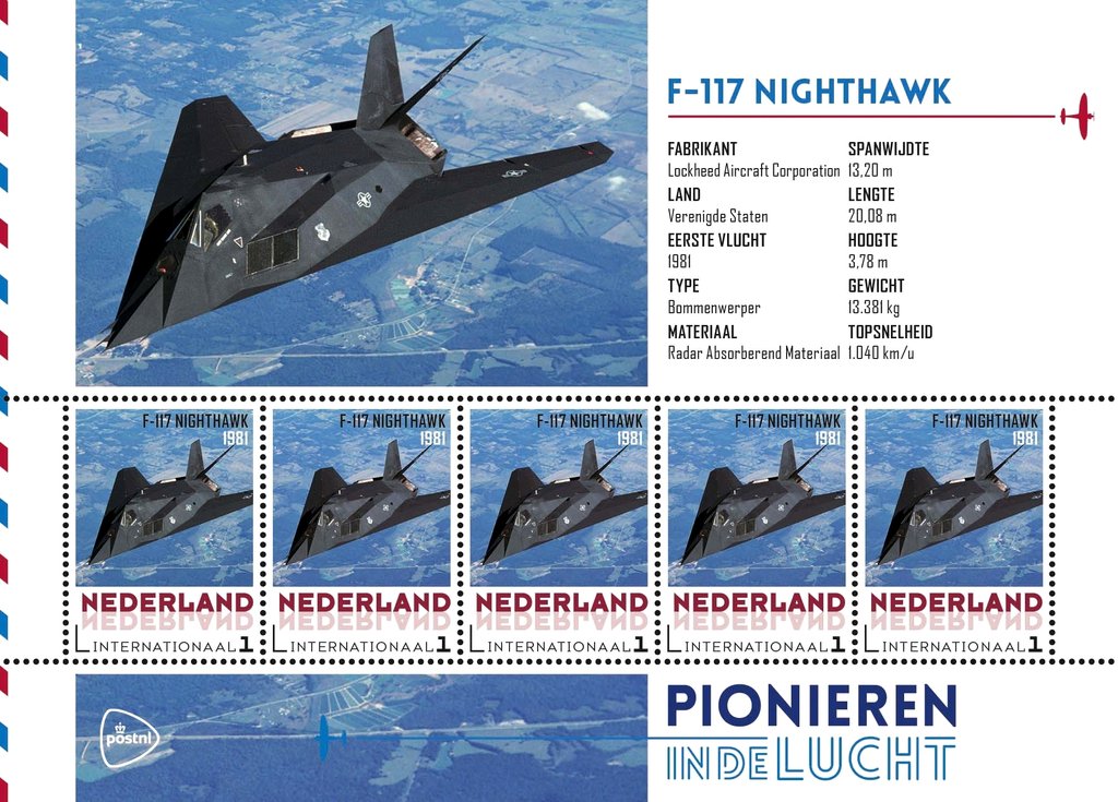 Aviation pioneers: Nighthawk 1981