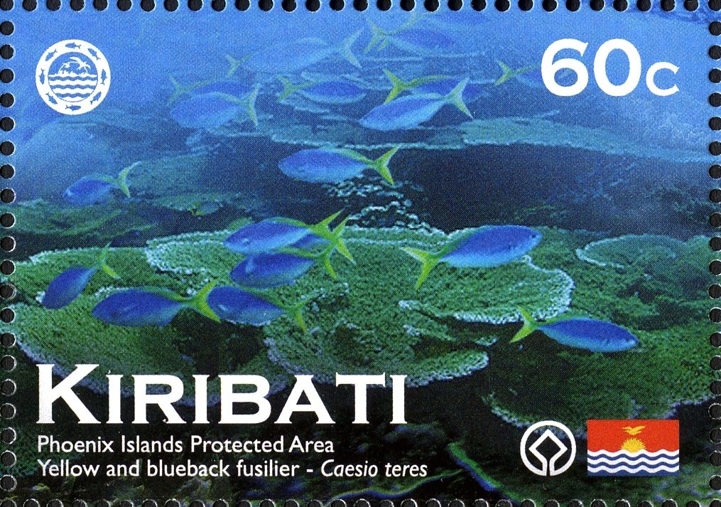 Yellow and Blueback Fusilier (Caesio teres)