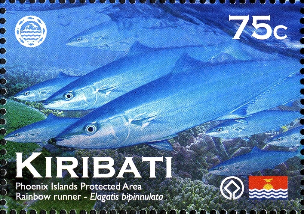 Rainbow Runner (Elagatis bipinnulata)