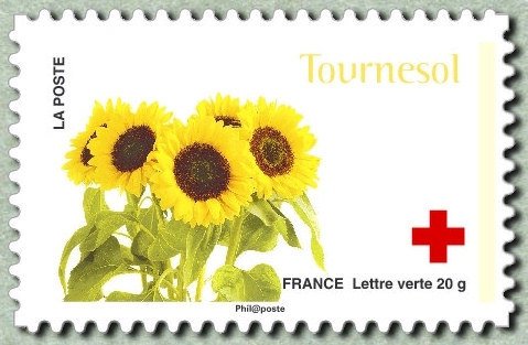 Tournesol