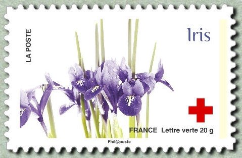 Iris