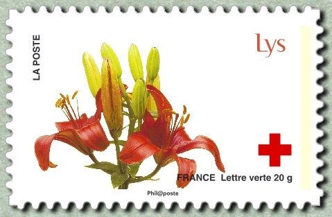 Lys