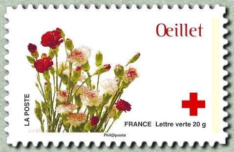 Oeillet