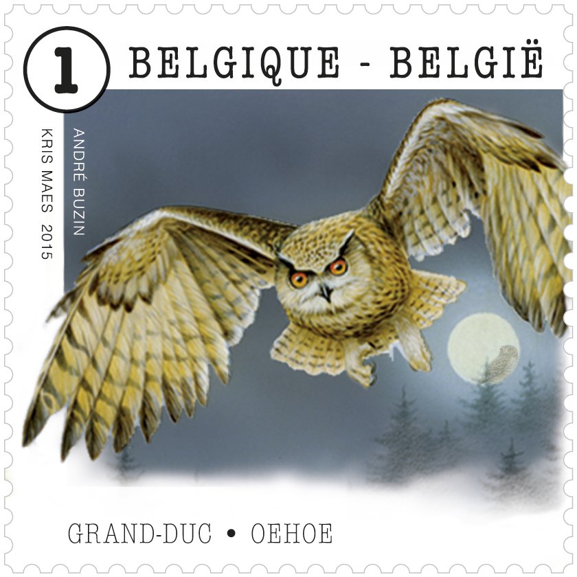 Eurasian Eagle-Owl (Bubo bubo)