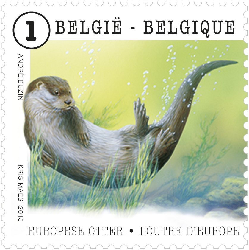 Eurasian Otter (Lutra lutra)