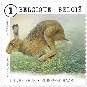 Stamp, European Hare (Lepus europaeus), Belgium,  , Hares