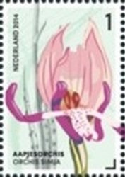 Orchis Simia (Monkey Orchid)