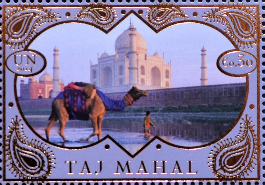 Taj Mahal, Dromedary (Camelus dromedarius)