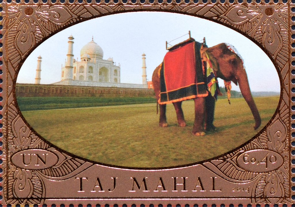 Taj Mahal, Asian Elephant (Elephas maximus)