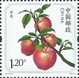Stamp, Apple, China, People's Republic,  , Fruits