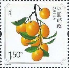 Kumquat