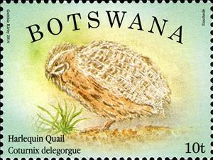 Stamp, Harlequin Quail (Coturnix delegorguei), Botswana,  , Birds, Animals (Fauna)