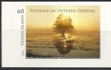 Selfadhesive Floodplain in the Lower Oder Valley